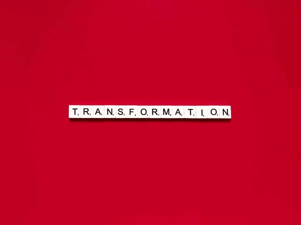 Comment transformer un espace de cuisine inutilisé en cellier à vins à température contrôlée?